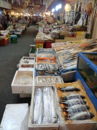 Fish at Seoul market