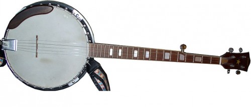 Five string banjo showing the position of the bridge on the head. (Courtesy: Wikipedia/CC BY-SA 3.0)