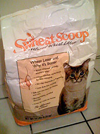 Photograph of Swheat Scoop cat litter (CC-BY-SA Ryan Forsythe)