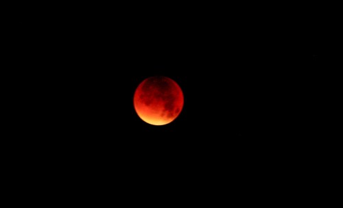 A deep red blood Moon 