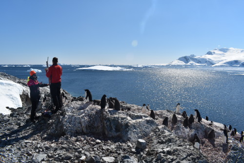 Photograph of researchers setting up cameras for the Penguin Lifelines project 