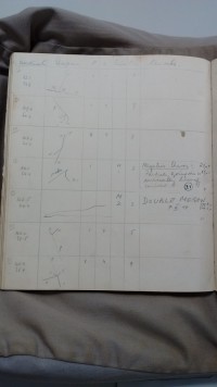 A notebook from Irene Roberts at the University of Bristol showing the discovery of the pi-meson.