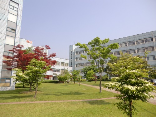 The physics department at KAIST