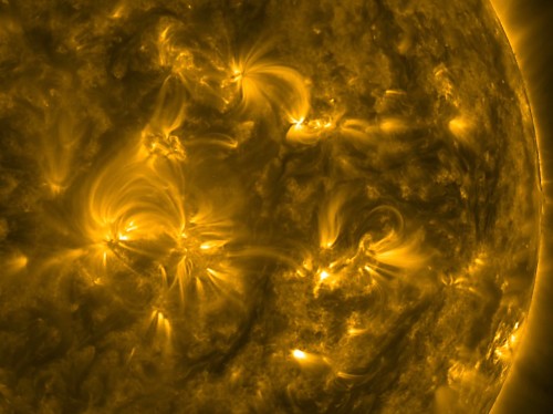 Extreme ultraviolet image of a tangle of arched magnetic filed lines in the Sun's corona, taken in January 2016 by NASA's Solar Dynamics Observatory. 