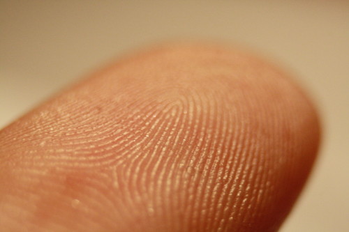 Easily recognized: could you be a fingerprint analyser? (Courtesy: CC BY 3.0/ Frettie)