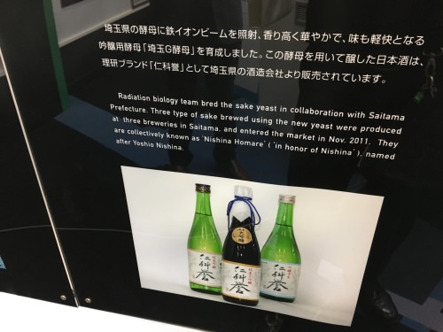 Photo of the sake brewed with yeast developed at RIKEN 