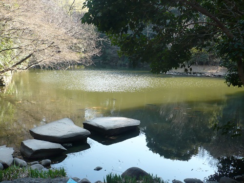 Lake at the University of Tokyo
